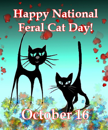 34959857 - two enamored cats