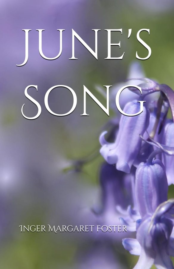 June's Song book cover